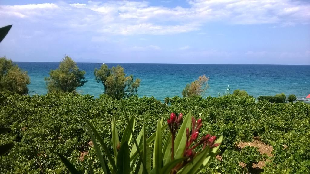 Villa Antonis Deluxe Apartments أمودي المظهر الخارجي الصورة